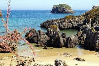 Apartamentos Albatros Llanes Bagian luar foto